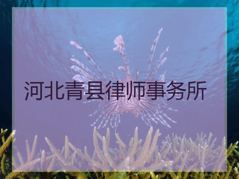 河北青县律师事务所