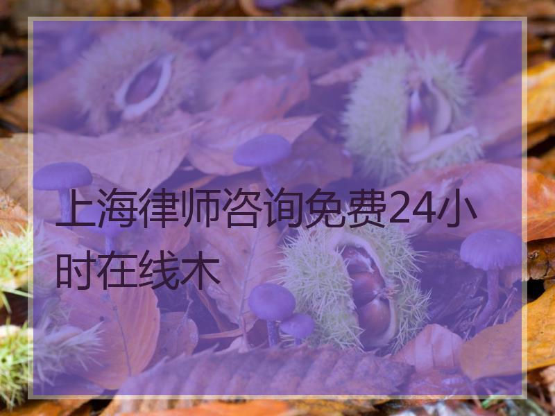 上海律师咨询免费24小时在线木