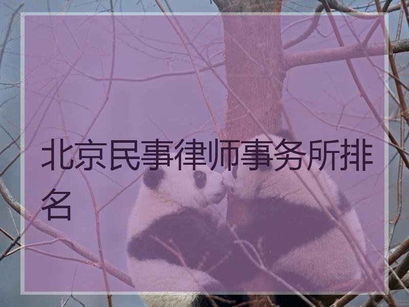 北京民事律师事务所排名