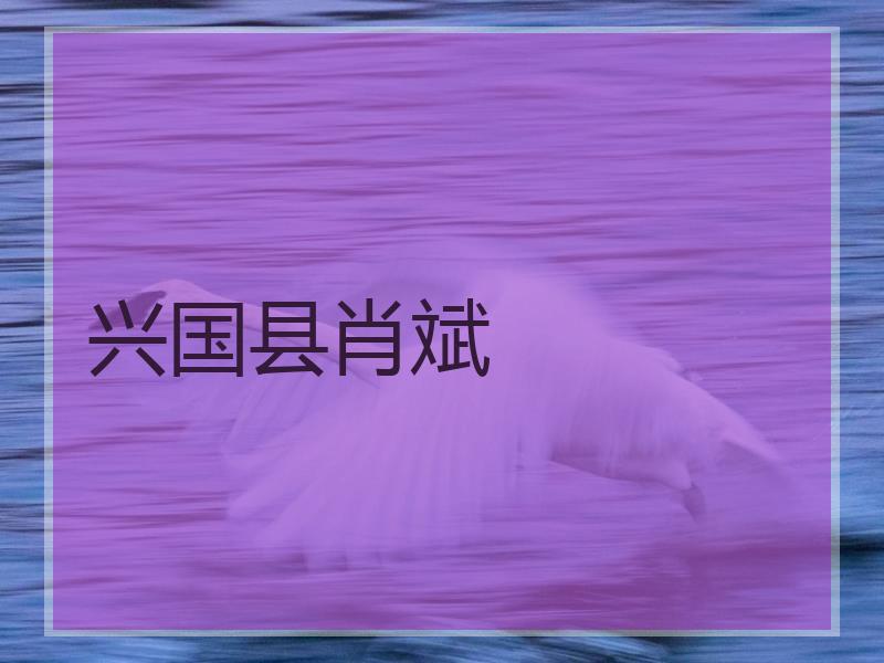 兴国县肖斌