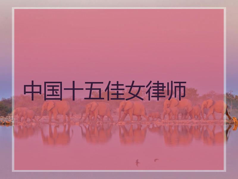 中国十五佳女律师
