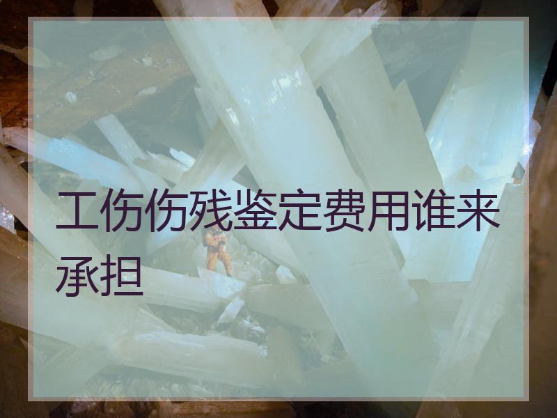 工伤伤残鉴定费用谁来承担