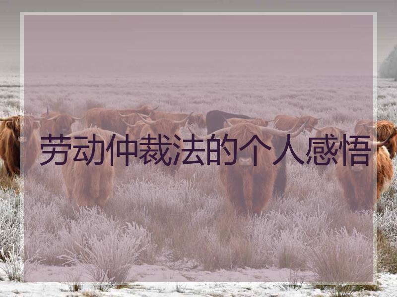 劳动仲裁法的个人感悟