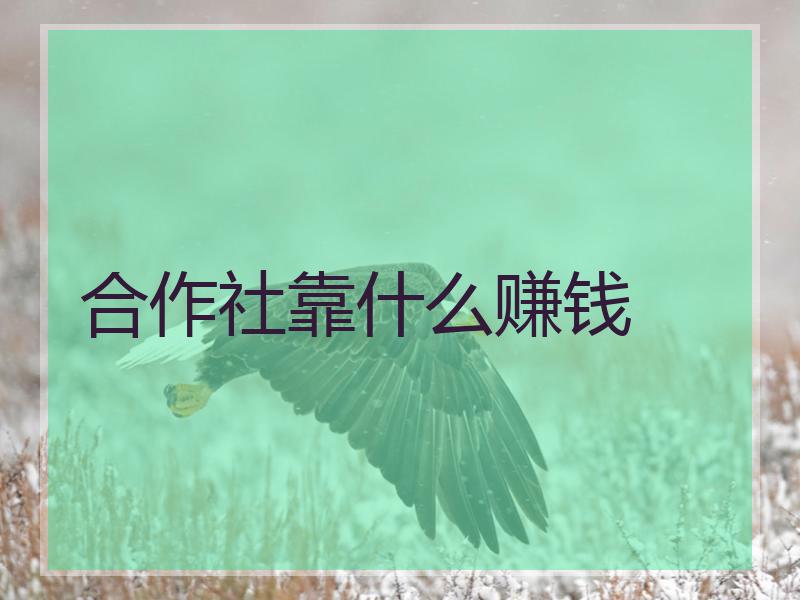合作社靠什么赚钱