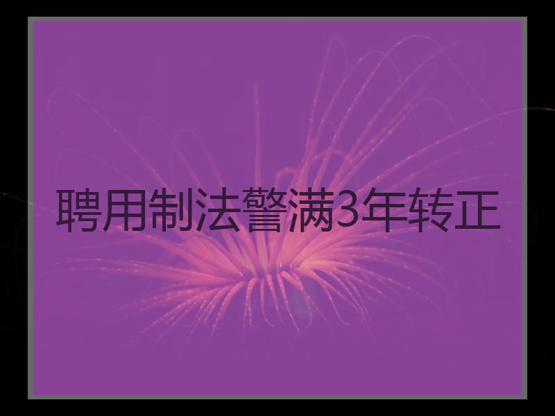 聘用制法警满3年转正