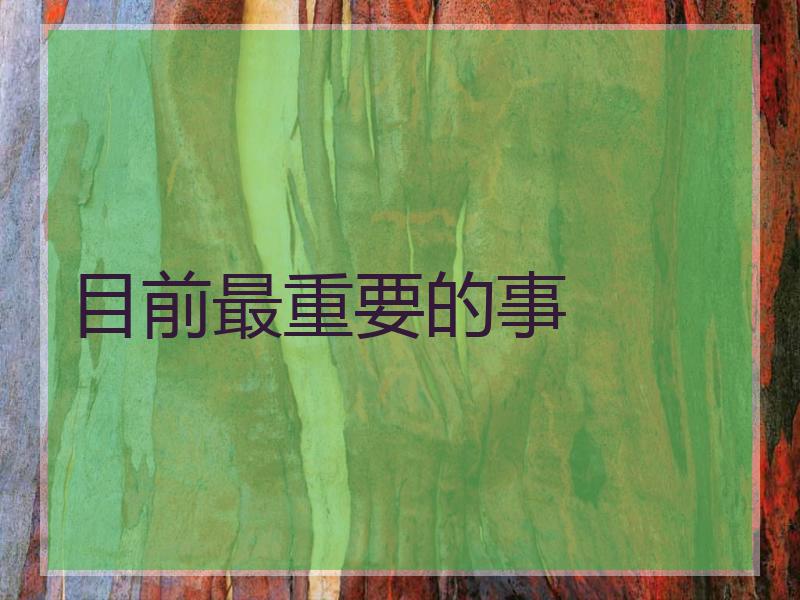 目前最重要的事
