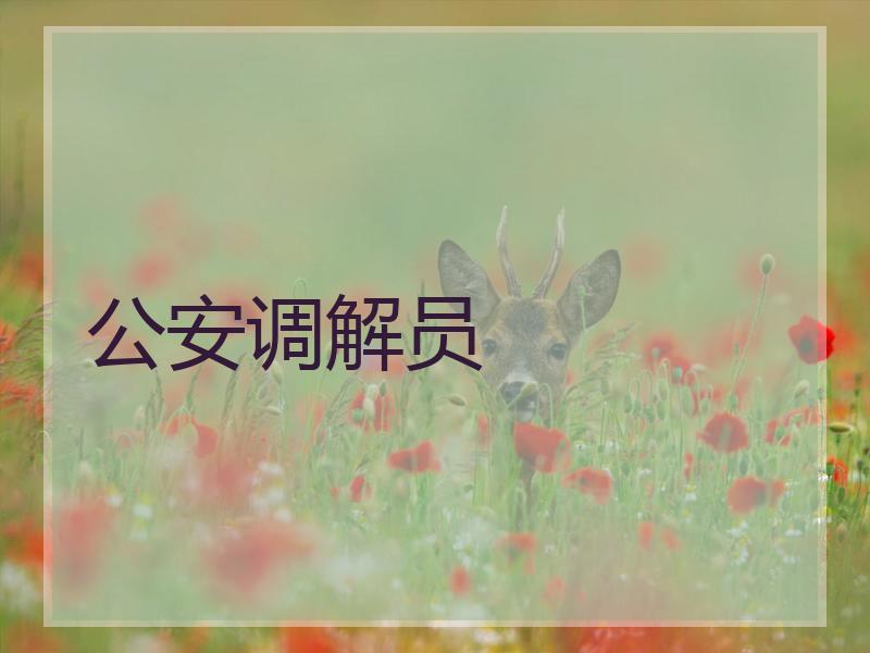 公安调解员