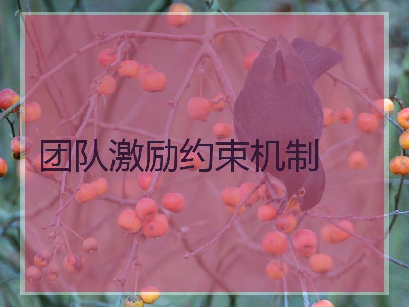团队激励约束机制