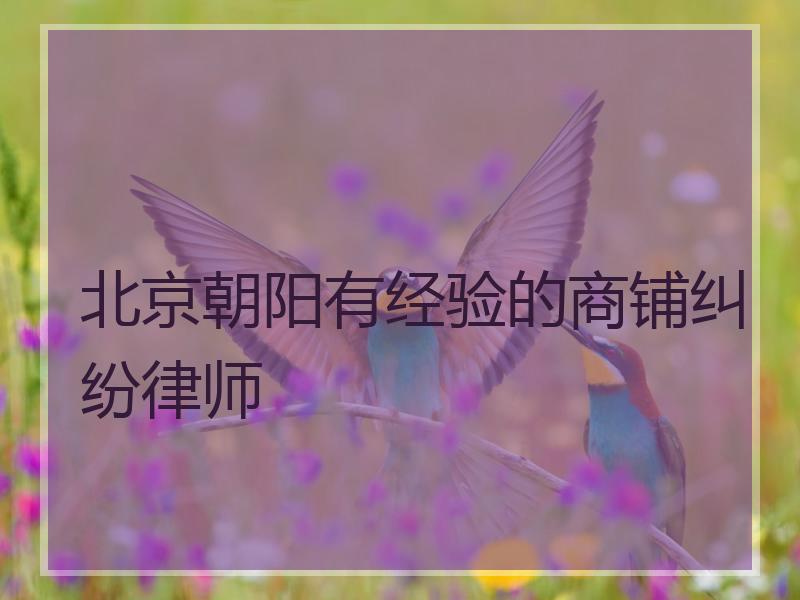 北京朝阳有经验的商铺纠纷律师