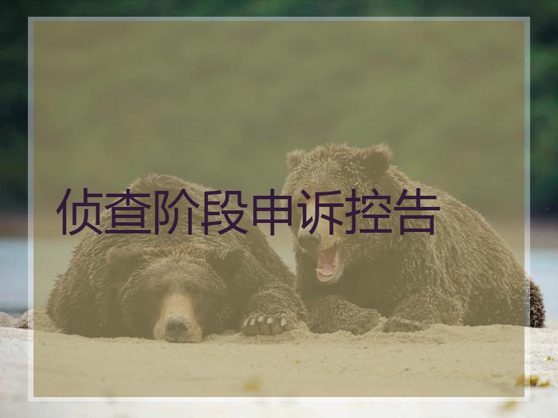 侦查阶段申诉控告