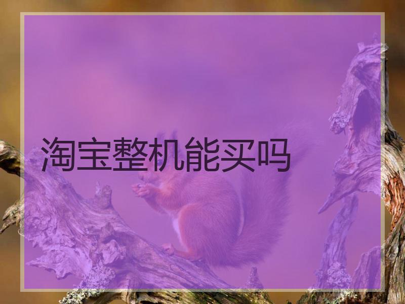 淘宝整机能买吗
