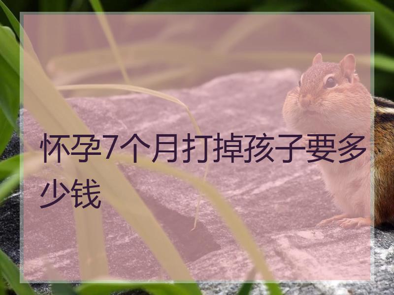 怀孕7个月打掉孩子要多少钱