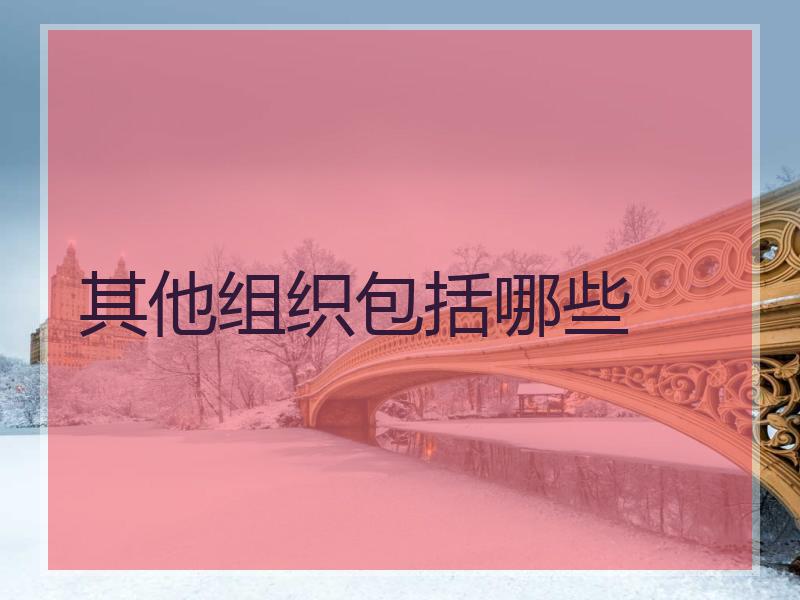 其他组织包括哪些