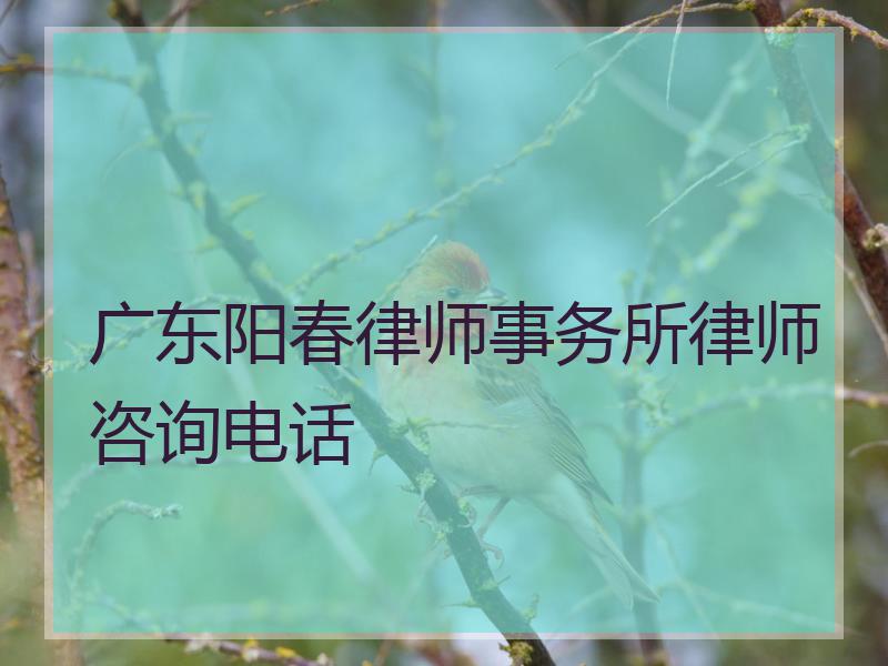 广东阳春律师事务所律师咨询电话