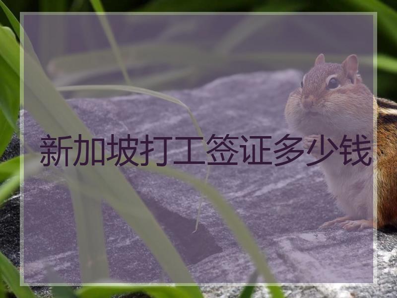 新加坡打工签证多少钱
