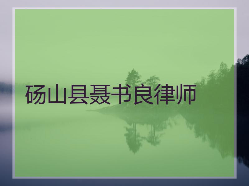砀山县聂书良律师
