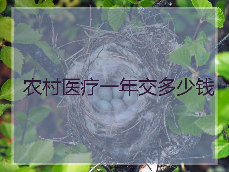 农村医疗一年交多少钱