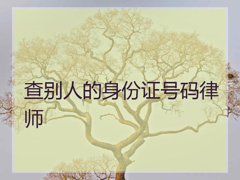查别人的身份证号码律师