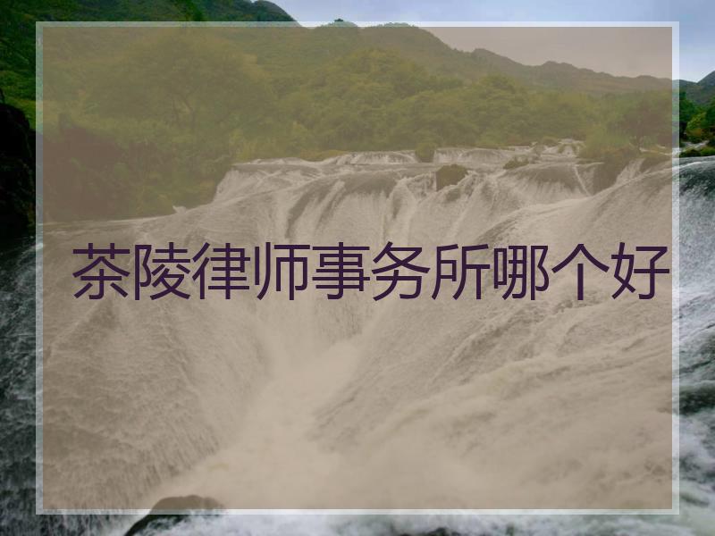 茶陵律师事务所哪个好