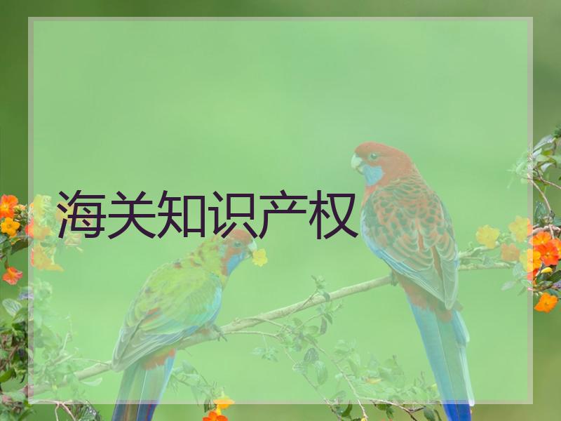 海关知识产权