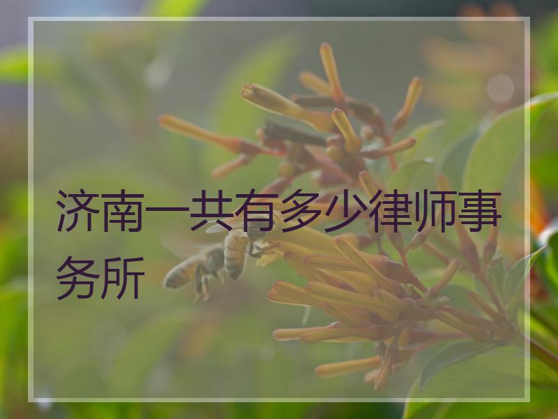 济南一共有多少律师事务所