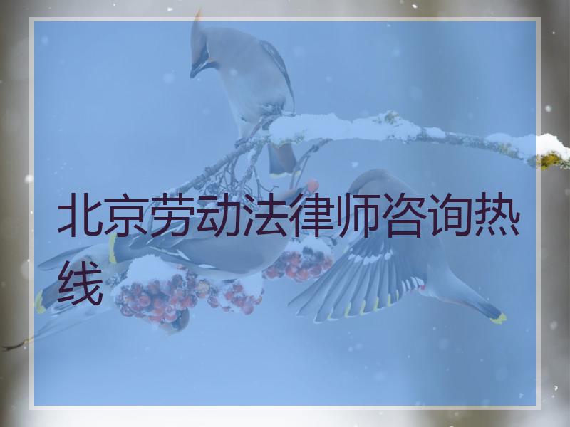 北京劳动法律师咨询热线