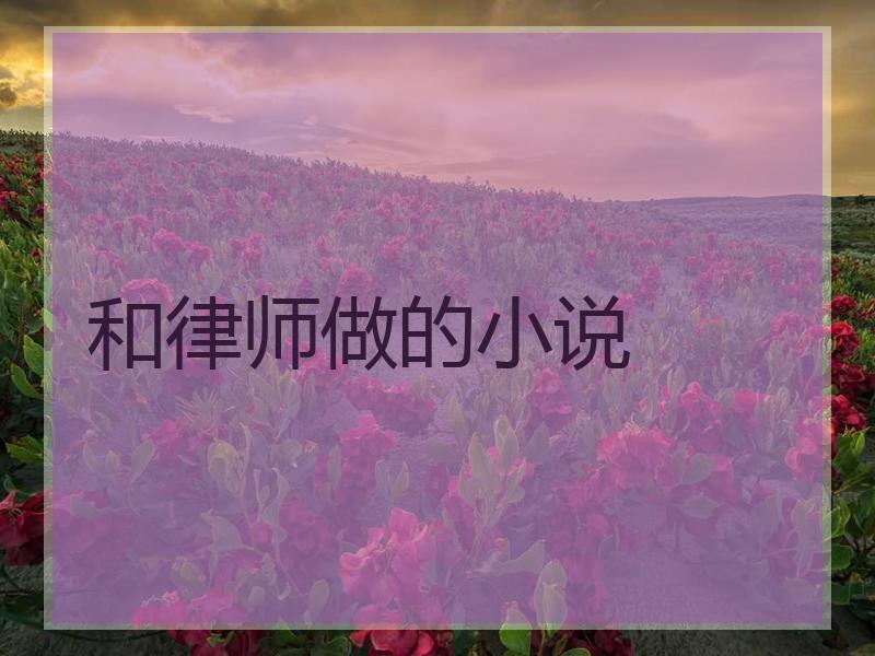 和律师做的小说