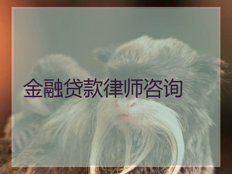 金融贷款律师咨询