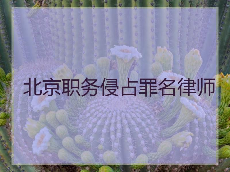 北京职务侵占罪名律师