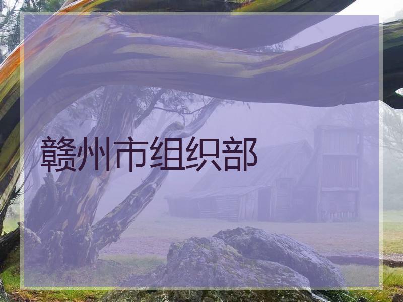 赣州市组织部