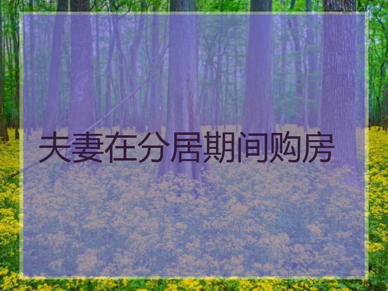 夫妻在分居期间购房