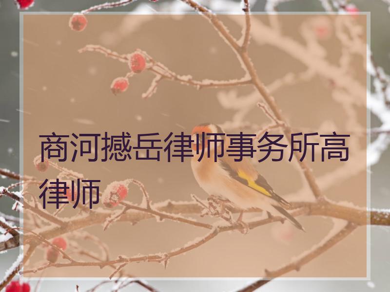 商河撼岳律师事务所高律师