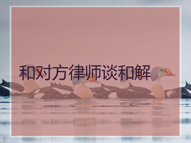 和对方律师谈和解