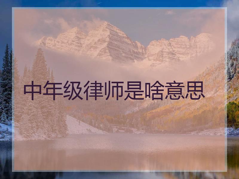 中年级律师是啥意思