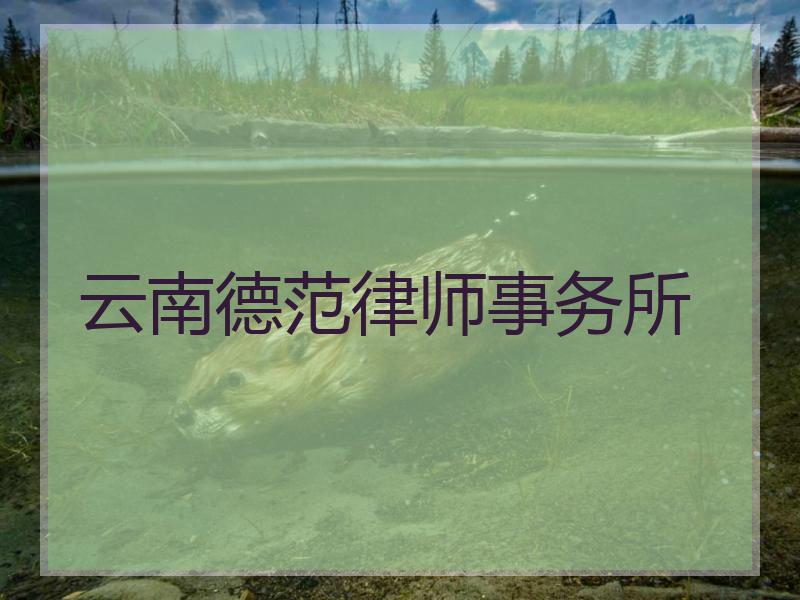 云南德范律师事务所