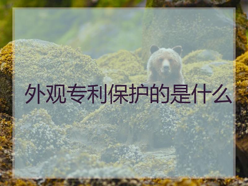外观专利保护的是什么