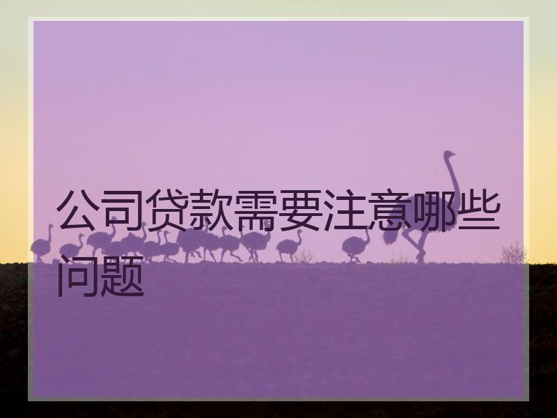 公司贷款需要注意哪些问题