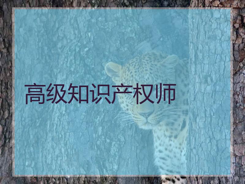 高级知识产权师