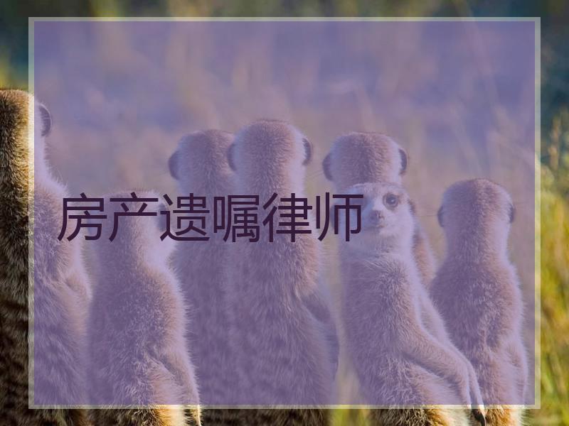 房产遗嘱律师