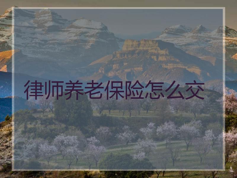 律师养老保险怎么交