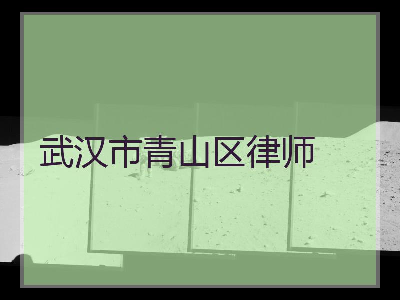 武汉市青山区律师