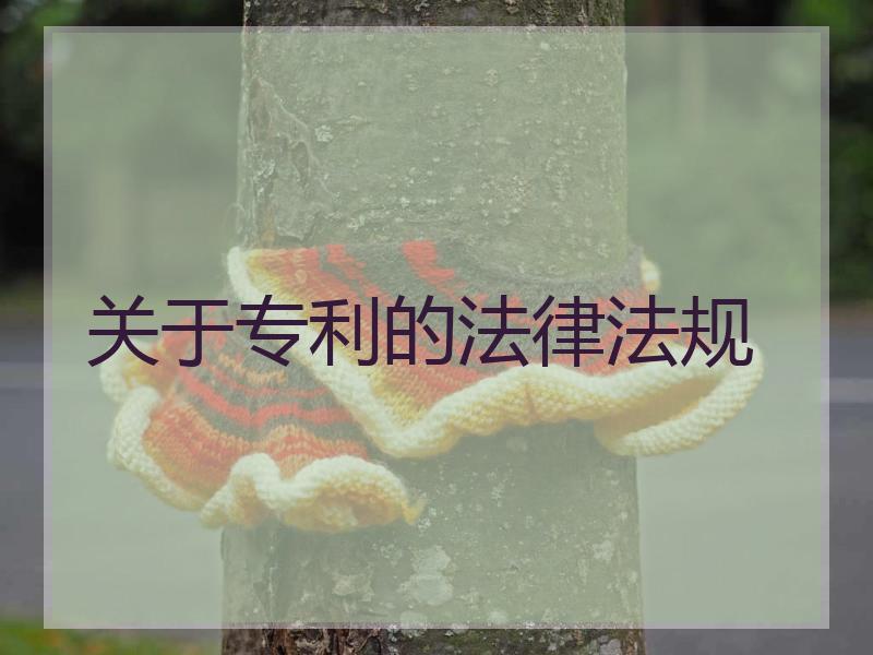 关于专利的法律法规