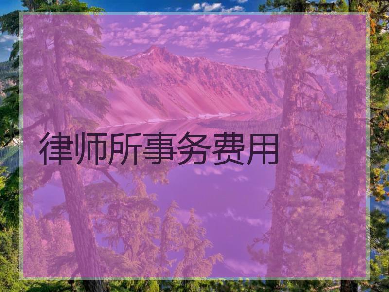 律师所事务费用
