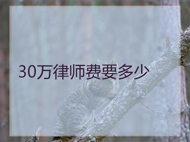 30万律师费要多少