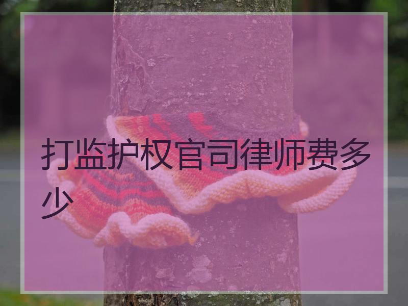 打监护权官司律师费多少