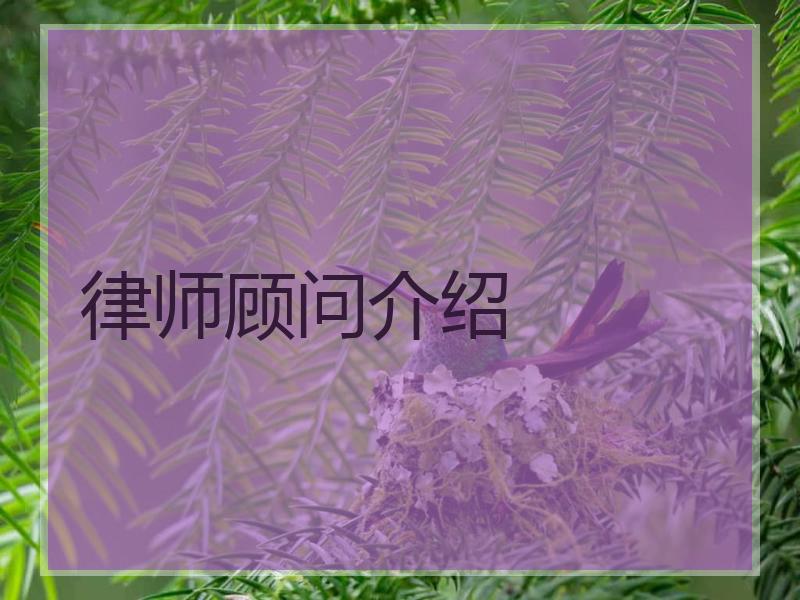 律师顾问介绍