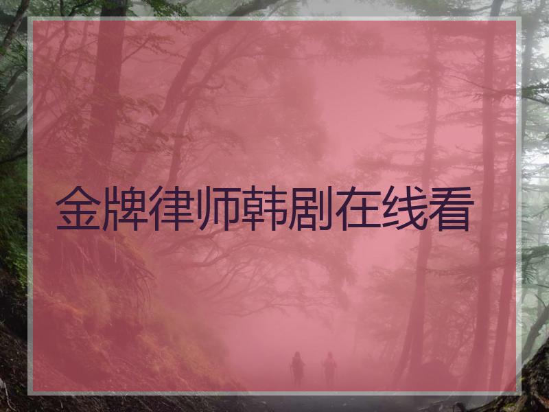 金牌律师韩剧在线看