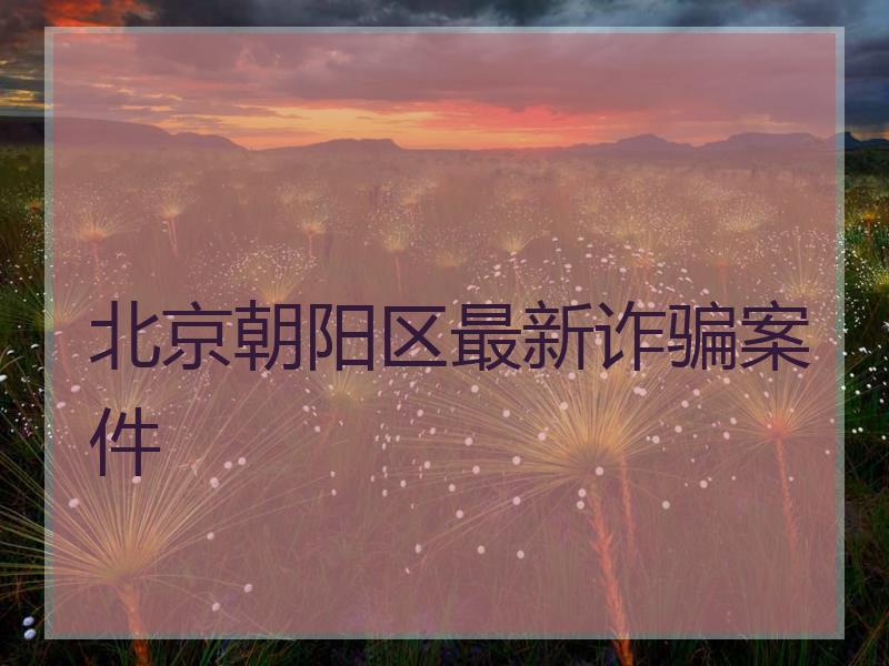 北京朝阳区最新诈骗案件