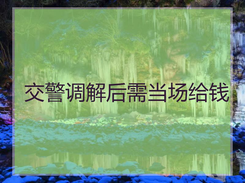 交警调解后需当场给钱