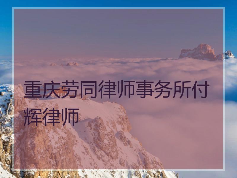 重庆劳同律师事务所付辉律师